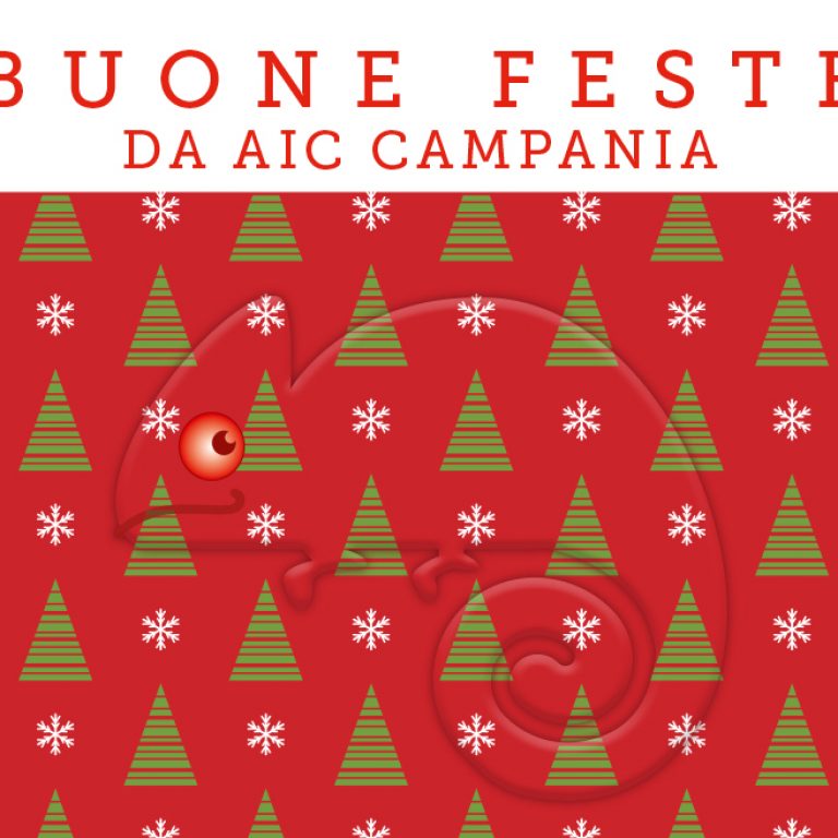 Natale AIC_Campania